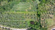 vendita terreno agricolo San Miniato