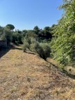 vendita terreno residenziale San Miniato