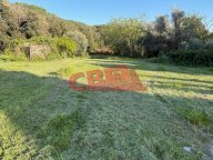 vendita terreno agricolo Livorno