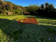 vendita terreno agricolo Livorno