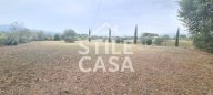 vendita terreno agricolo Castelfranco di Sotto