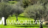 vendita terreno agricolo San Giuliano Terme