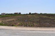 Vendita Terreno Agricolo Mazara del Vallo