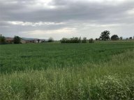 Vendita Terreno Edificabile Assisi