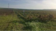 Vendita Terreno Agricolo Trapani