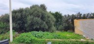 Vendita Terreno Agricolo Mazara del Vallo