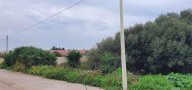 Vendita Terreno Agricolo Mazara del Vallo