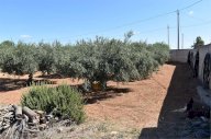 Vendita Terreno Agricolo Mazara del Vallo