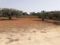 Vendita Terreno Agricolo Mazara del Vallo