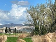 Vendita Terreno Agricolo Assisi