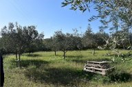 Vendita Terreno Agricolo Mazara del Vallo