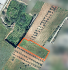 Vendita Terreno Agricolo Mazara del Vallo