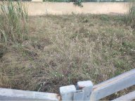 Vendita Terreno Agricolo Mazara del Vallo