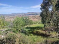 Vendita Terreno Agricolo Caltanissetta