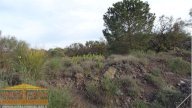 Vendita Terreno Agricolo Camporotondo Etneo