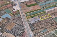 Vendita Terreno Agricolo Trani