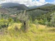 Vendita Terreno Agricolo Spoleto
