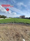 Vendita Terreno Agricolo Nola