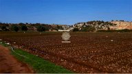 Vendita Terreno Agricolo Noto