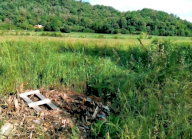 Vendita Terreno Edificabile Teolo