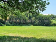 Vendita Terreno Agricolo Savignano sul Panaro