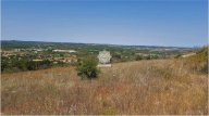Vendita Terreno Agricolo Noto