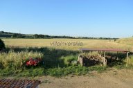 vendita terreno agricolo Montalto di Castro