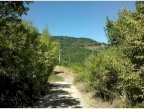 vendita terreno agricolo Chianni