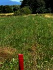 vendita terreno agricolo Casciana Terme Lari