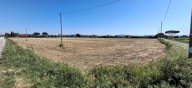 vendita terreno agricolo Grosseto