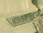 vendita terreno agricolo Cerreto Guidi