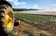 vendita terreno agricolo Cascina