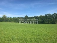 vendita terreno agricolo Cerreto Guidi
