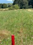 vendita terreno agricolo Casciana Terme Lari