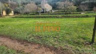vendita terreno agricolo Vicopisano