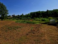 vendita terreno agricolo Casciana Terme Lari