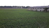 vendita terreno agricolo Castiglione del Lago