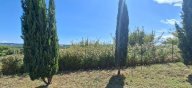 vendita terreno residenziale Terricciola