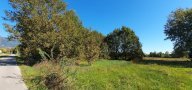 vendita terreno agricolo Capannori