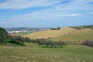 vendita terreno agricolo San Miniato