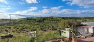 vendita terreno agricolo Sommacampagna