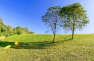 vendita terreno agricolo Santa Maria a Monte