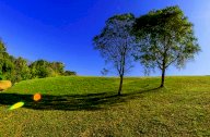 vendita terreno agricolo Santa Maria a Monte