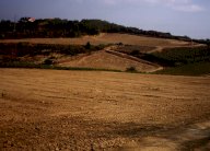 vendita terreno agricolo Casciana Terme Lari