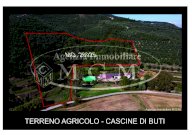 vendita terreno agricolo Buti