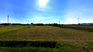 vendita terreno agricolo Castelfranco di Sotto