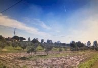 vendita terreno agricolo Cascina