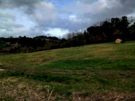 vendita terreno agricolo Casciana Terme Lari
