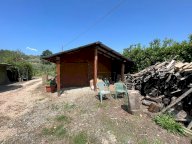 vendita terreno agricolo Bibbona
