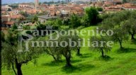 vendita terreno agricolo Capannori